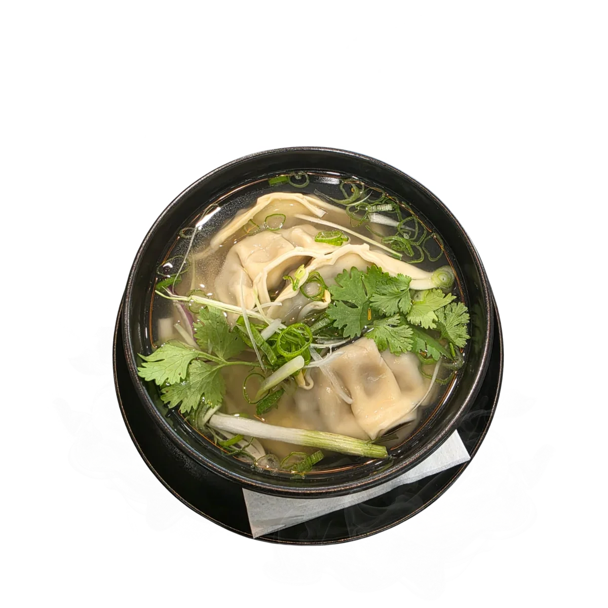 Gyoza Soup s taštičkami, udon rezancami a koriandrom